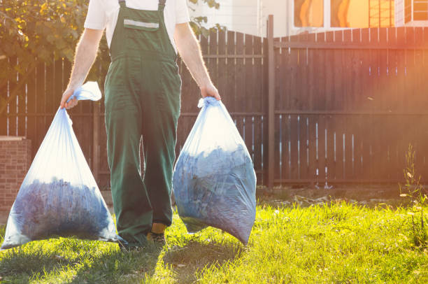 Best Shed Removal  in Laurium, MI